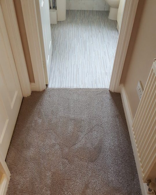 floor3